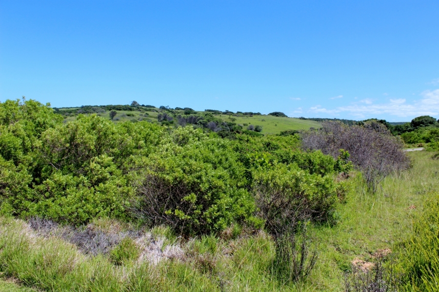 0 Bedroom Property for Sale in Forest Downs Eastern Cape